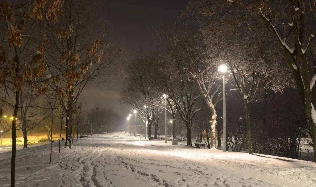 一竞技平台- 布雷斯特雪夜鏖战险平对手，场地条件引发争议  